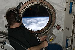 Engineer Gregory Chamitoff looking out of a window