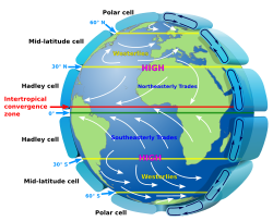 Hadley cells on the Earth's atmospheric circulation