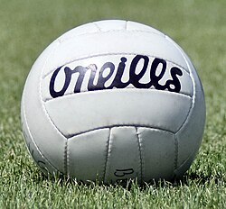 The ball used for a match, made by Irish company O'Neills