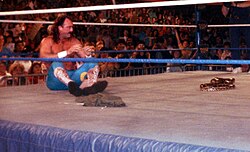 Many of Roberts' storylines revolved around the use of his snake, Damien, seen here in the middle of the ring (March 7, 1989)