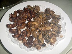 Deep-fried cicadas, Cryptotympana atrata, in Chinese Shandong cuisine