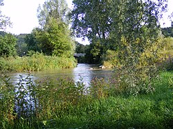 Mouth of the Starzel in Bieringen