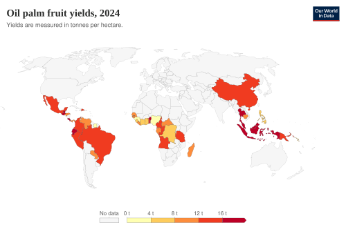 Palm oil yields