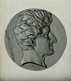 Line engraving of Cuvier, 1832