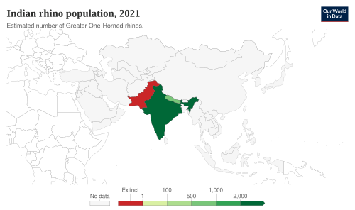 Indian rhino population