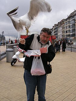 Stealing food from a man's hand