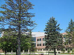 Swenson Hall