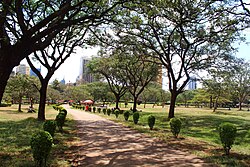 Central Park