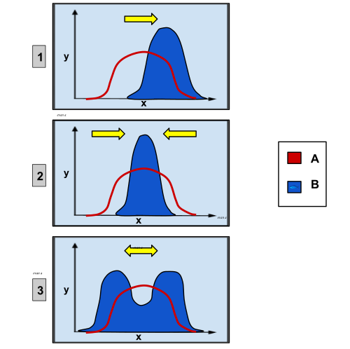 These charts depict the different types of genetic selection. On each graph, the x-axis variable is the type of phenotypic trait and the y-axis variable is the number of organisms. Group A is the original population and Group B is the population after selection. · Graph 1 shows directional selection, in which a single extreme phenotype is favoured. · Graph 2 depicts stabilising selection, where the intermediate phenotype is favoured over the extreme traits. · Graph 3 shows disruptive selection, in which the extreme phenotypes are favoured over the intermediate.