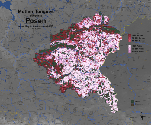 Mother Tongues of Posen, according to the 1910 Census