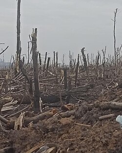 No man's land on the outskirts of Bakhmut