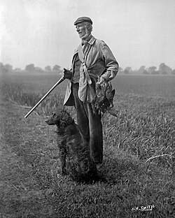 Snowden Slights with retriever and shotgun around 1910, 'the last of Yorkshire's Wildfowlers'[76]