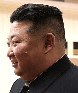 A growth on Kim's cheek, June 2024.