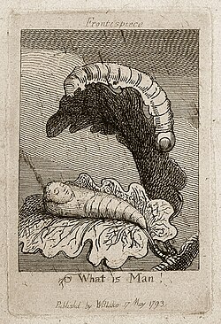 William Blake's illustration of a caterpillar overlooking a child from his illustrated book For Children The Gates of Paradise.[36]