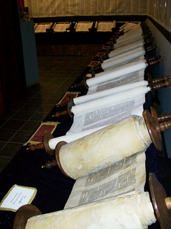 A complete set of scrolls constituting the Tanakh