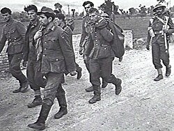 German prisoners being escorted by Indian troops after the Battle of the Sangro, Italy, December 1943.