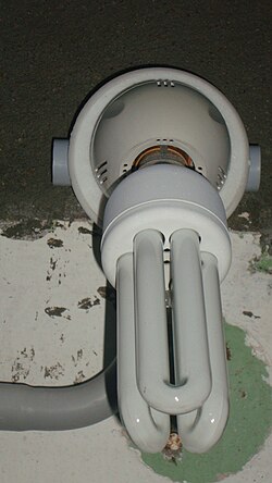 Compact fluorescent lamp with wall-mounted holder