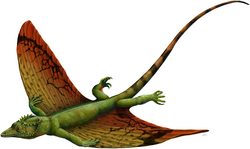 Restoration of Weigeltisaurus jaekeli, a weigeltisaurid from the Late Permian of Europe. Weigeltisaurids represent the oldest known gliding vertebrates.