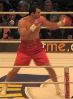Former WBA, IBF, WBO and IBO heavyweight champion, Ukrainian Wladimir Klitschko in December 2008