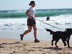 Woman jogging with a dog at Carcavelos beach, Portugal