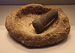 Mortar and pestle from Nahal Oren, Natufian, 12,500–9500 BC