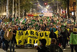 The March For Forests, 2019