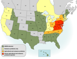 Effects of the brown marmorated stink bug (May 2013)