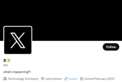 X's profile in August 2025