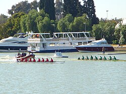 Betis and their city rival, Sevilla FC, also compete in an annual rowing race on the Guadalquivir river.