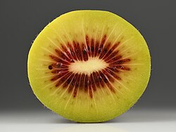 Kiwifruit 'Red Passion' with a red ring