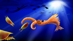 Ecological reconstruction of Anomalocaris hunting Isoxys, with Anomalocaris swimming posture in the background upper left with frontal appendages outstreched after that proposed in Bicknell et al. (2023)