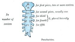 Figure 6 Peculiarities