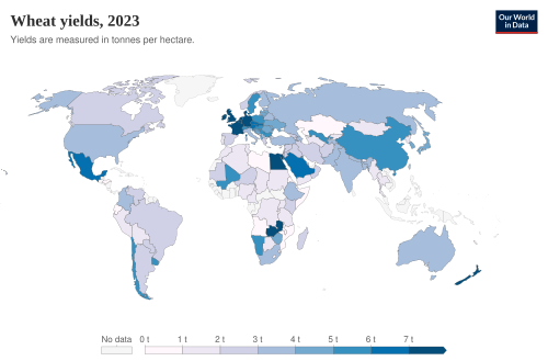 Wheat yields