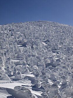 "Snow monsters" on Mount Zaō