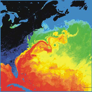 Surface temperatures in the western North Atlantic: The Gulf Stream is represented by the large red-yellow (hot) flow from the Gulf of Mexico northwards in this image. Source: NASA