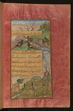 Birds of Persia luchas, called būqalamūn (بوقلمون turkey in Persian), and partridges