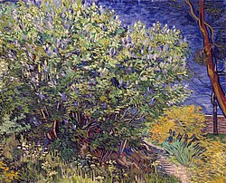 Lilac Bush, by Vincent van Gogh, 1889