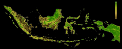 ภาพประกอบบทความ