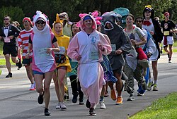 Bay to Breakers is an annual foot race known for colorful costumes.