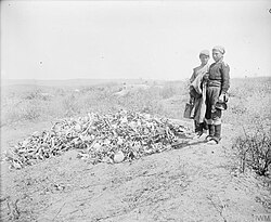 Greek children standing by the bones of soldiers they have collected, who died during the 1915 Gallipoli campaign, on Hill 60, Anzac Cove in 1919