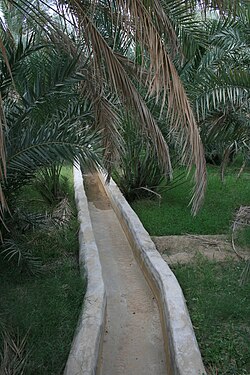 An artificial rill, part of the Falaj water transportation system, at Al Ain Oasis, in the Abu Dhabi Emirate.