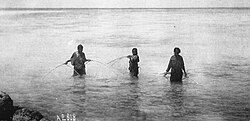 Women fishing with nets, Chuuk (1899–1900)