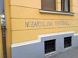 "Unemployable uterus", a graffito in Ljubljana, Slovenia