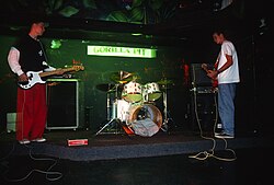 Blink at the Gorilla Pit in 1993