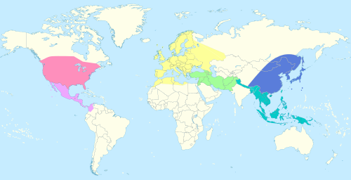 Global distribution of Quercus. The New and Old World parts are mostly separate clades.[a] Red: North American.[b] Pink: Central American.[c] Yellow: European.[d] Green: West/Central Asian.[e] Turquoise: Southeast Asian.[f] Blue: East Asian.[g][29] See Phylogeny chapter/tree for sections.[clarification needed]