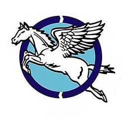 Ilhwa Chunma FC's crest, used between 1989 and 2000
