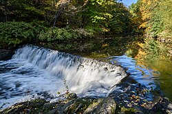 Bronx River Waterfall in NYBG
