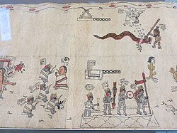 The Selden Roll on display at the Bodleian Library in Oxford