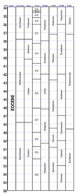 Subdivisions of the Eocene