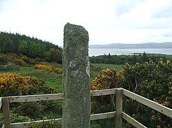 The Giogha Stone bearing a Goidelic Ogham inscription